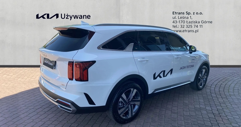 Kia Sorento cena 234000 przebieg: 2000, rok produkcji 2023 z Żary małe 326